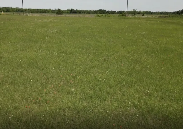 Photo 3 of Land for sale at Tbd Hwy 24, Paris, TX 75460 | MLS# 21312358 | Listing updated on 2026-08-25