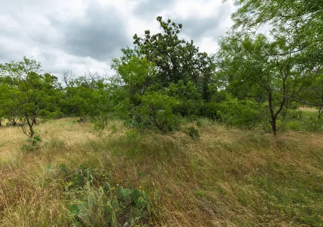 Homes for sale in Oplin, TX | Tbd Cr 255, Oplin, TX 79510 | MLS# 21313037