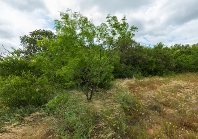 Homes for sale in Oplin, TX | Tbd Cr 255, Oplin, TX 79510 | MLS# 21313037