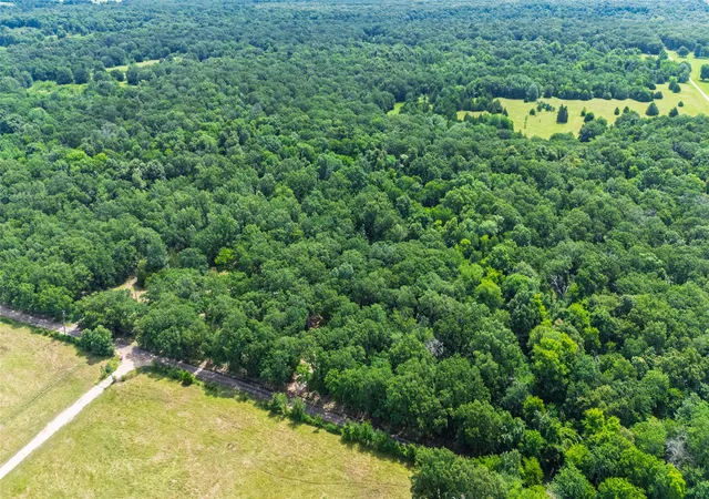 Homes for sale in Dike, TX | 604 County Road 3561, Dike, TX 75437 | MLS# 21313211