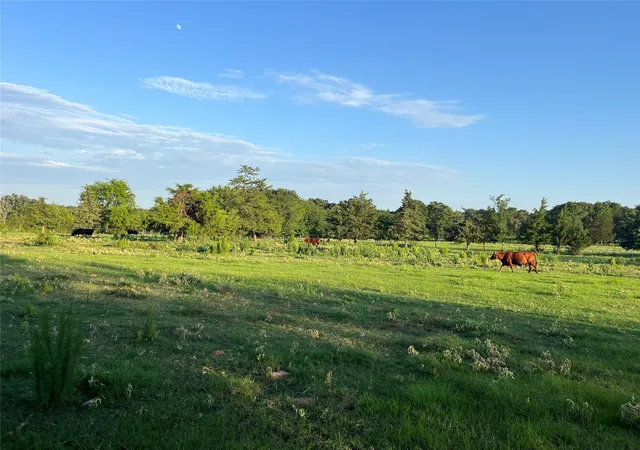 image of Tbd Cr 4260, Mt Pleasant, TX 75455 | MLS# 21313584