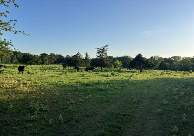 image of Tbd Cr 4260, Mt Pleasant, TX 75455 | MLS# 21313584