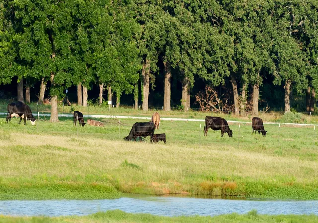 Photo 3 of Land for sale at 400 Smith Ranch Rd, Collinsville, TX 76233 | MLS# 21313773 | Listing updated on 2026-09-03