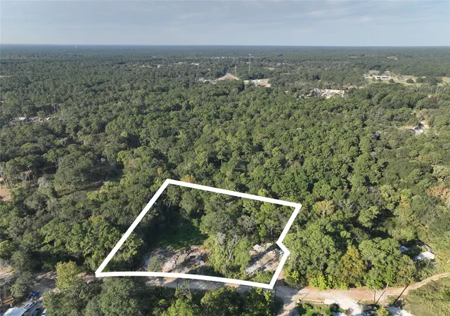 Homes for sale in Plantersville, TX | Tbd Whispering Pines Ln, Plantersville, TX 77363 | MLS# 21314276