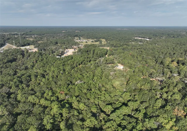 Homes for sale in Plantersville, TX | Tbd Whispering Pines Ln, Plantersville, TX 77363 | MLS# 21314276
