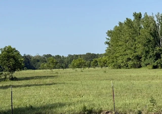 3rd image of 000 Hwy 540 Hwy, Homer, LA 71040 | MLS# 21314422