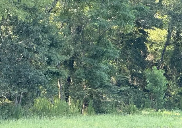 5th image of 000 Hwy 540 Hwy, Homer, LA 71040 | MLS# 21314422