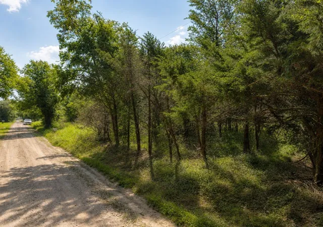 Homes for sale in Kerens, TX | 9026 Ne County Rd, Kerens, TX 75144 | MLS# 21314904