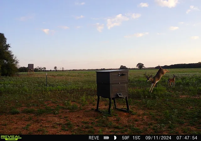 Photo 2 of Land for sale at 719 County Road 193, Comanche, TX 76442 | MLS# 21311749 | Listing updated on 2026-09-28