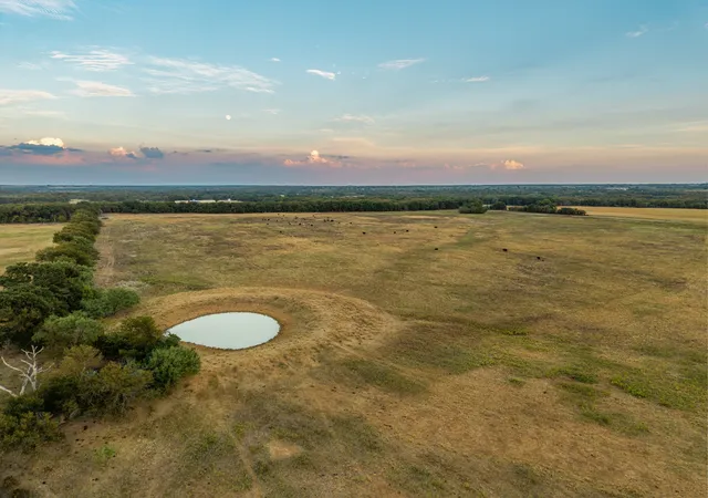 Photo 3 of Land for sale at 719 County Road 193, Comanche, TX 76442 | MLS# 21311749 | Listing updated on 2026-09-28