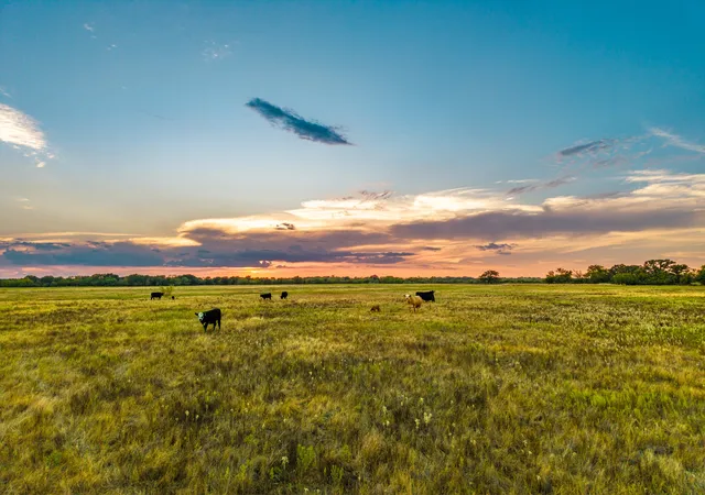 Photo 4 of House for sale at 719 County Road 193, Comanche, TX 76442 | MLS# 21311749 | Listing updated on 2026-09-28
