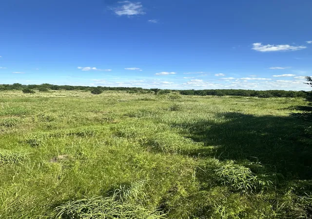 Homes for sale in Callisburg, TX | Lot 8 County Road 410, Callisburg, TX 76240 | MLS# 21315244