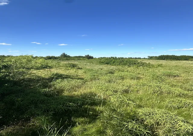 Homes for sale in Callisburg, TX | Lot 8 County Road 410, Callisburg, TX 76240 | MLS# 21315244