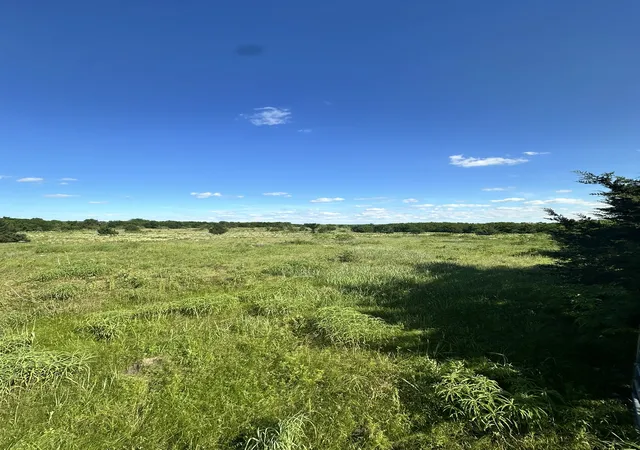 Homes for sale in Callisburg, TX | Lot 8 County Road 410, Callisburg, TX 76240 | MLS# 21315244