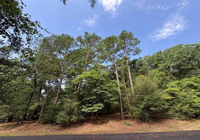 Homes for sale in Holly Lake Ranch, TX | Tbd Whipporwill Ln, Holly Lake Ranch, TX 75765 | MLS# 21313266