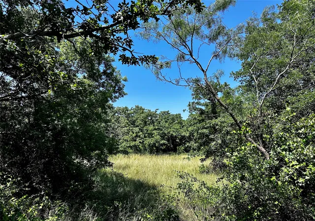 Homes for sale in Cisco, TX | Tbd County Road 409, Cisco, TX 76437 | MLS# 21315462