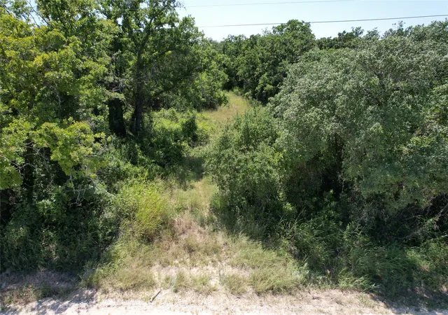 Homes for sale in Cisco, TX | Tbd County Road 409, Cisco, TX 76437 | MLS# 21315462