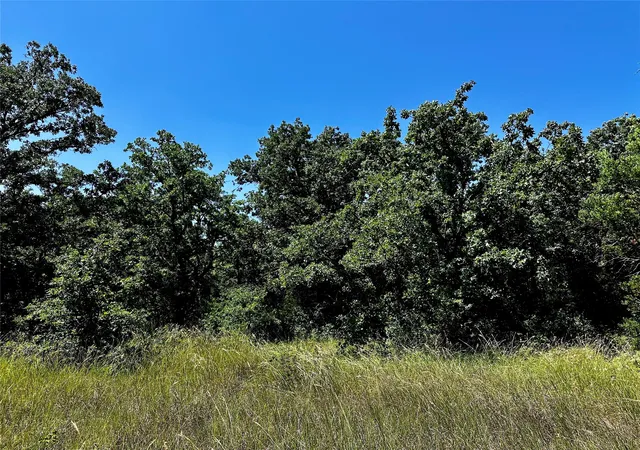 Homes for sale in Cisco, TX | Tbd County Road 409, Cisco, TX 76437 | MLS# 21315462
