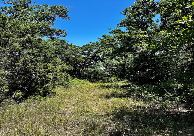 Homes for sale in Cisco, TX | Tbd County Road 409, Cisco, TX 76437 | MLS# 21315462