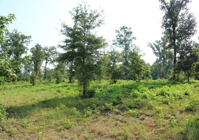 2nd image of 0 Germantown Road, Minden, LA 71055 | MLS# 21315363