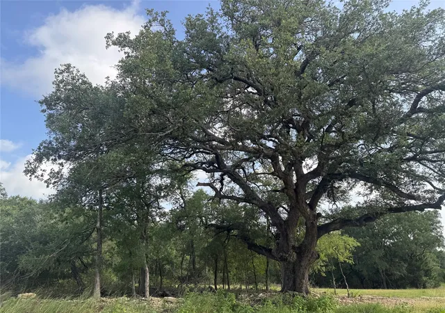 Photo 1 of Land for sale at 318 Whitetail Dr, Mc Gregor, TX 76657 | MLS# 21315558 | Listing updated on 2026-09-15