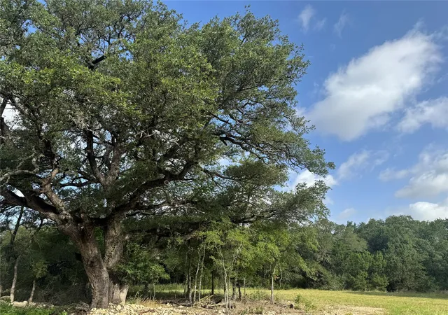 Photo 2 of Land for sale at 318 Whitetail Dr, Mc Gregor, TX 76657 | MLS# 21315558 | Listing updated on 2026-09-15