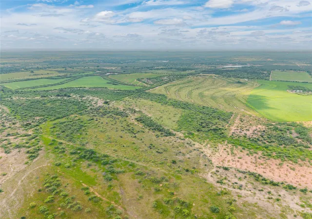 Homes for sale in Santa Anna, TX | 1050 County Road 258, Santa Anna, TX 76878 | MLS# 21312628
