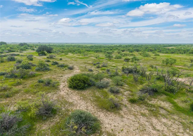 Homes for sale in Santa Anna, TX | 1050 County Road 258, Santa Anna, TX 76878 | MLS# 21312628