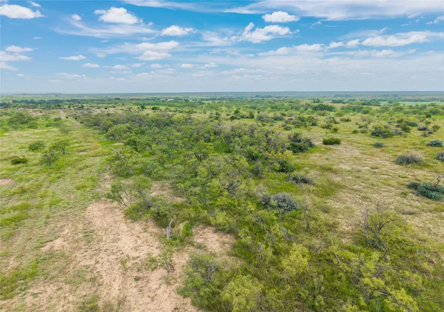 Homes for sale in Santa Anna, TX | 1050 County Road 258, Santa Anna, TX 76878 | MLS# 21312628