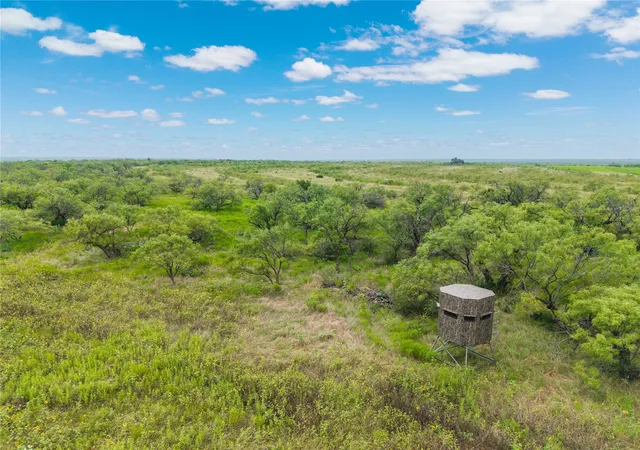 Homes for sale in Santa Anna, TX | 1050 County Road 258, Santa Anna, TX 76878 | MLS# 21312628