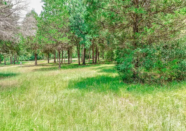 Homes for sale in Streetman, TX | Lot 57-R Shiloh Ln, Streetman, TX 75859 | MLS# 21315653