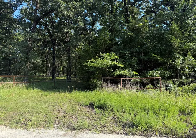 Homes for sale in Honey Grove, TX | 000 Cr 2418, Honey Grove, TX 75446 | MLS# 21315438