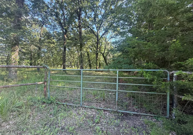 Homes for sale in Honey Grove, TX | 000 Cr 2418, Honey Grove, TX 75446 | MLS# 21315438