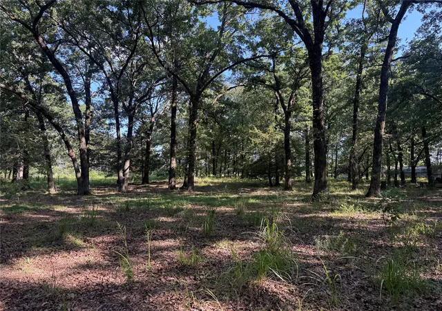 Homes for sale in Honey Grove, TX | 000 Cr 2418, Honey Grove, TX 75446 | MLS# 21315438