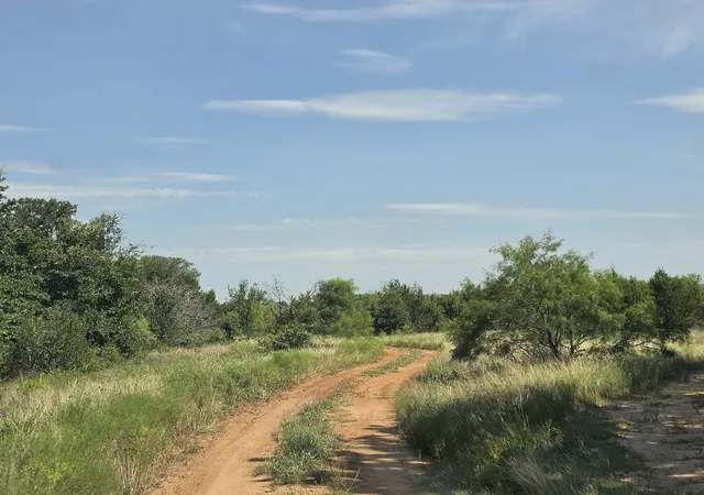Homes for sale in Iredell, TX | 0000 County Rd 2224, Iredell, TX 76649 | MLS# 21316083