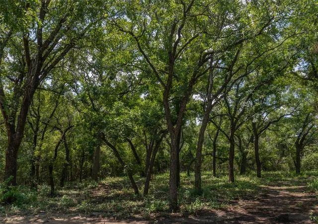 Land for sale at 1030 Shiloh Vista Ln, Tolar, TX 76476 | MLS# 21316153