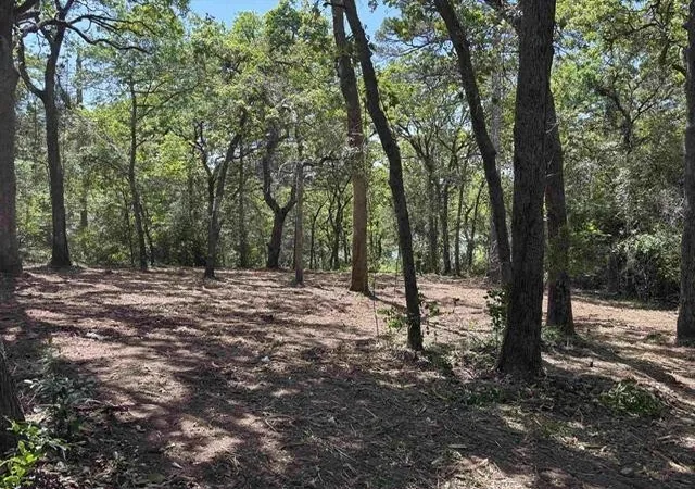 Homes for sale in Hideaway, TX | 514 Dogwood Ln, Hideaway, TX 75771 | MLS# 21316323