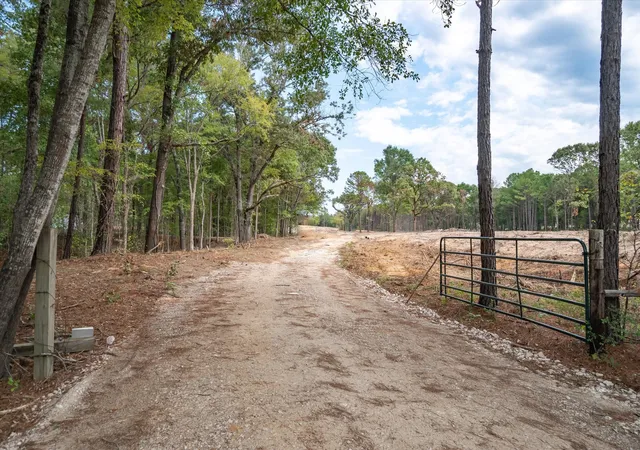 Photo 3 of Land for sale at 19451 County Road 4307 Road, Larue, TX 75770 | MLS# 21316359 | Listing updated on 2026-07-08