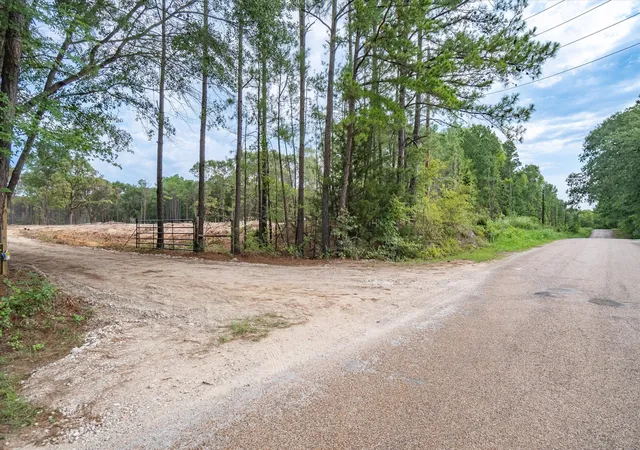 Photo 3 of Land for sale at Tract 1   Tbd County Road 4307 Road, Larue, TX 75770 | MLS# 21316447 | Listing updated on 2026-07-08