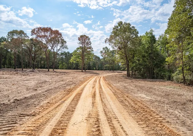 Photo 4 of Land for sale at Tract 1 - Tbd County Road 4307 Road, Larue, TX 75770 | MLS# 21316447 | Listing updated on 2026-07-08