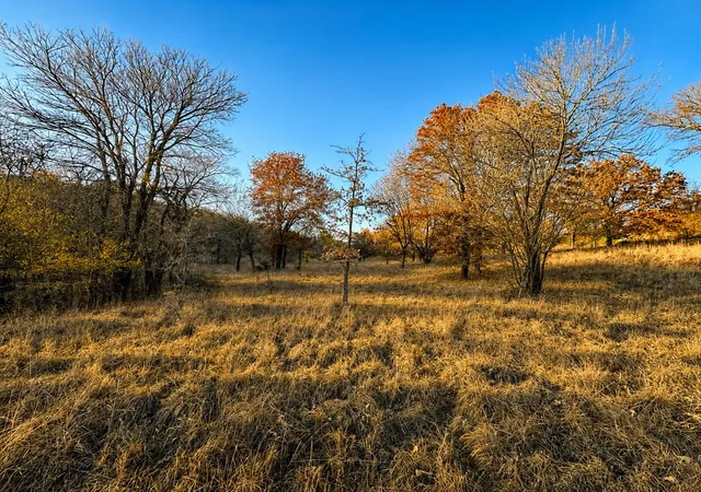 Homes for sale in Chico, TX | Lot 283 Cozy Cove Ct, Chico, TX 76431 | MLS# 21316893