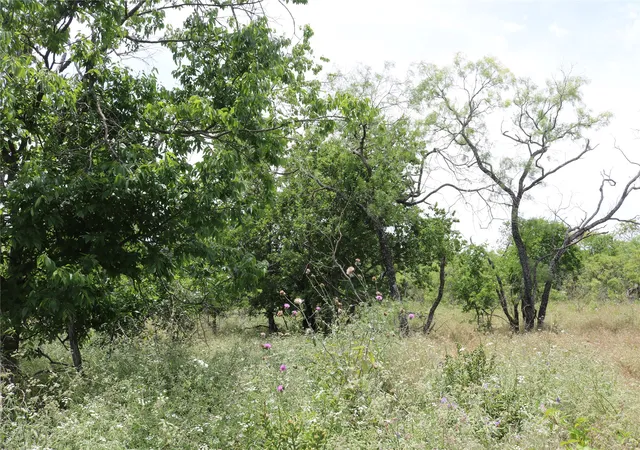 Photo 1 of Land for sale at 000 State Hwy 6, Dublin, TX 76446 | MLS# 21276766 | Listing updated on 2026-07-16
