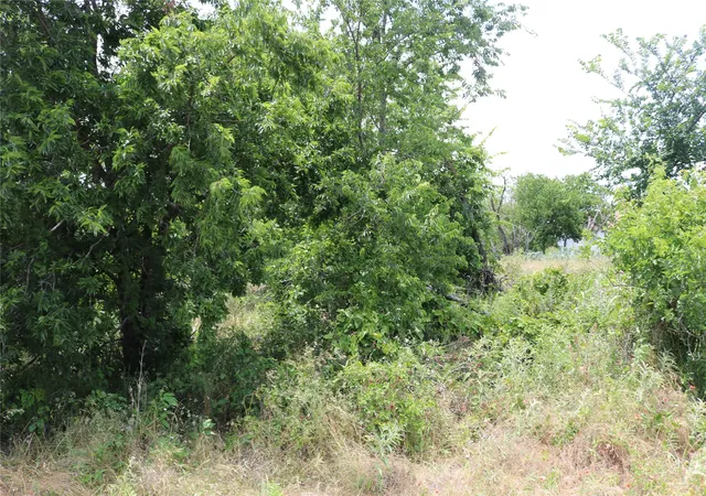 Photo 2 of Land for sale at 000 State Hwy 6, Dublin, TX 76446 | MLS# 21276766 | Listing updated on 2026-07-16