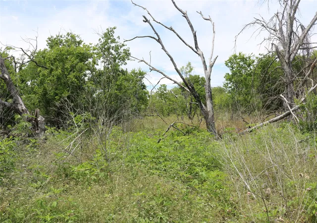 Photo 4 of Land for sale at 000 State Hwy 6, Dublin, TX 76446 | MLS# 21276766 | Listing updated on 2026-07-16