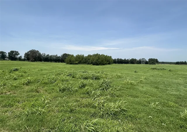 Photo 3 of Land for sale at Lot 2 Cr 358 Fm 900, Saltillo, TX 75478 | MLS# 21317319 | Listing updated on 2026-08-19