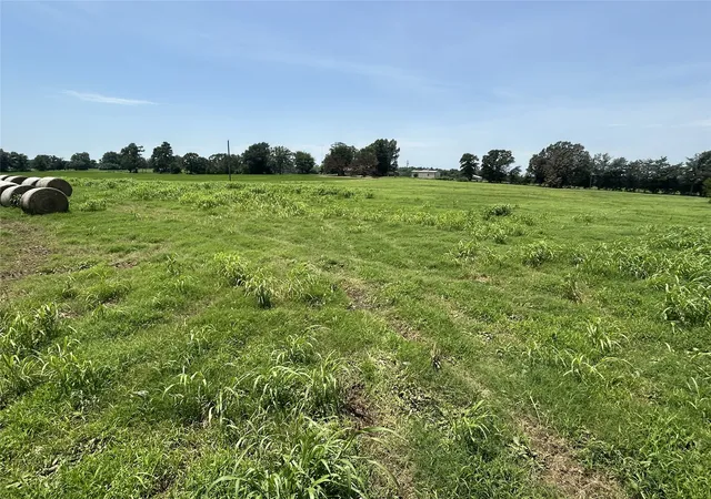 Photo 3 of Land for sale at Lot 2 Cr 358 Fm 900, Saltillo, TX 75478 | MLS# 21317319 | Listing updated on 2026-08-19