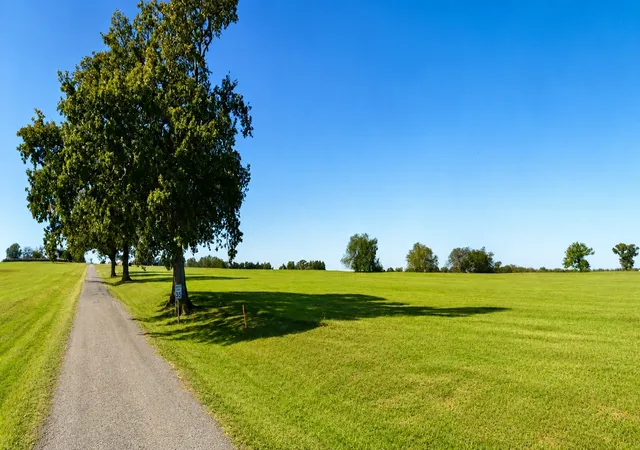 Photo 4 of Land for sale at Lot 2 Cr 358 Fm 900, Saltillo, TX 75478 | MLS# 21317319 | Listing updated on 2026-08-19