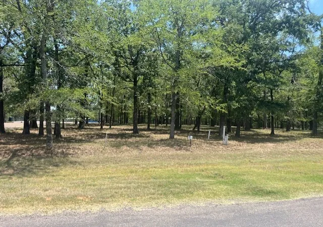 Homes for sale in Mabank, TX | 146 St Andrews Dr, Mabank, TX 75156 | MLS# 21309032