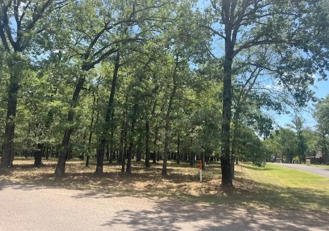 Homes for sale in Mabank, TX | 146 St Andrews Dr, Mabank, TX 75156 | MLS# 21309032