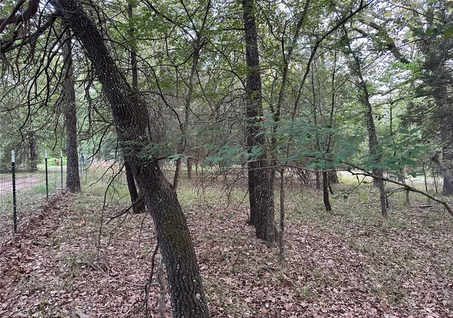 Photo 3 of Land for sale at 103 Cedar Oaks Dr, Mabank, TX 75156 | MLS# 21317458 | Listing updated on 2026-10-07